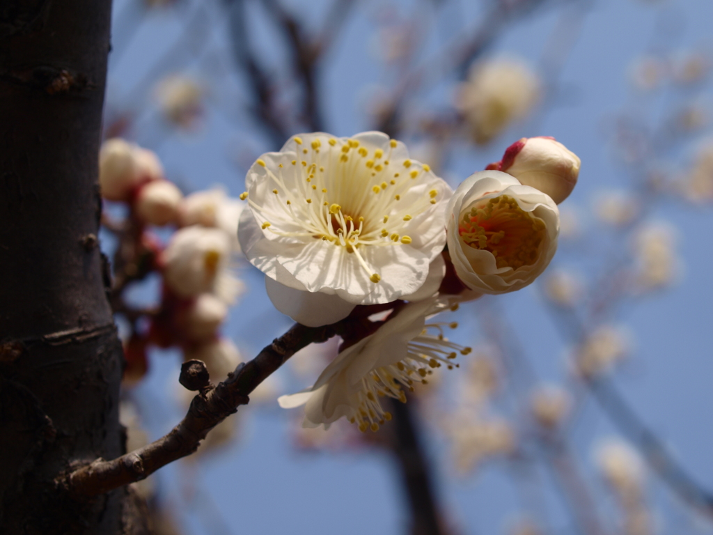 大高緑地公園にて