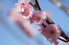 大高緑地公園にて　