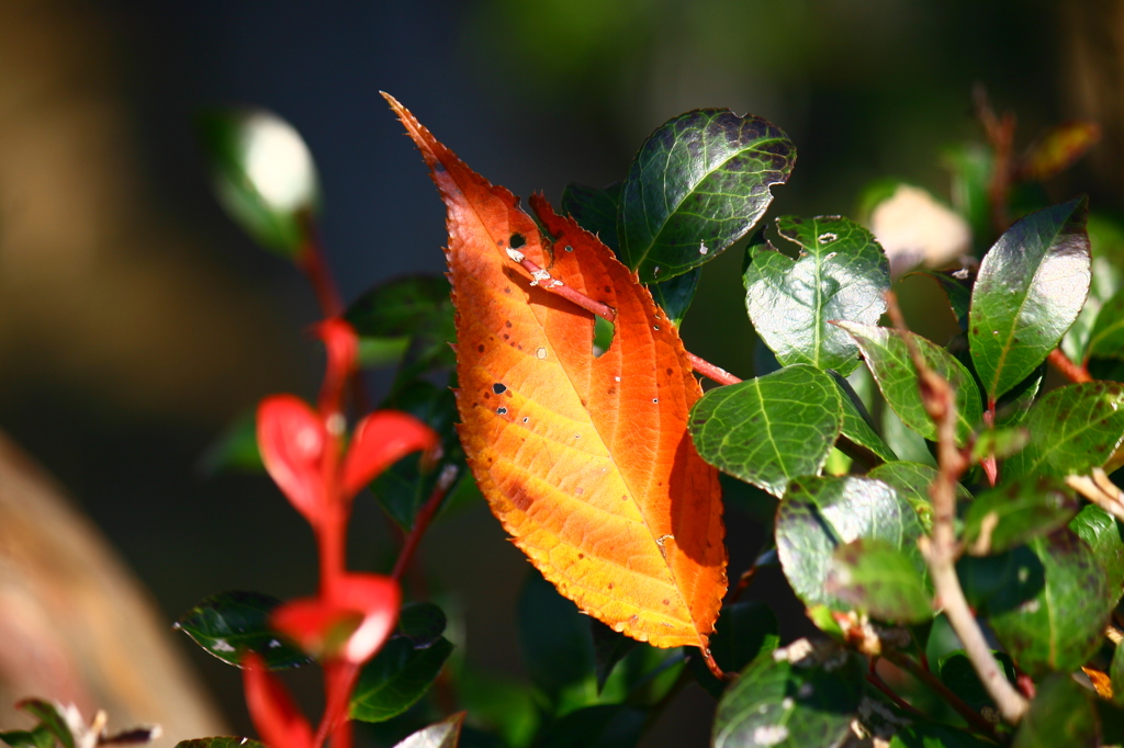 偶然それとも・・・