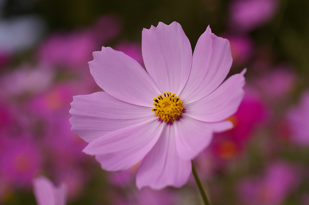 みどりが丘公園にて　