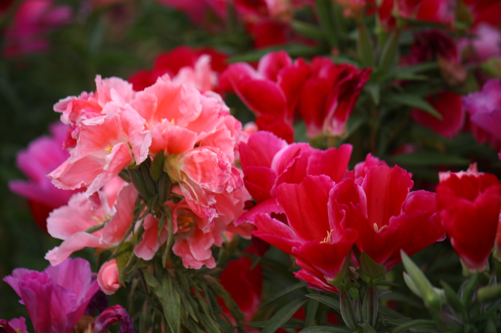 大高緑地公園にて　
