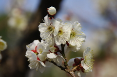 大高緑地公園にて　