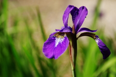 名古屋市農業センターにて　