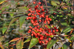 名古屋市農業センターにて