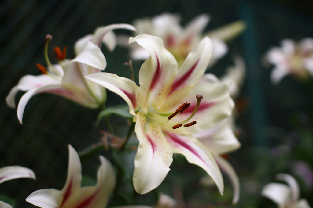 名古屋市農業センターにて　