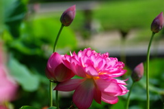 名古屋市農業センターにて　