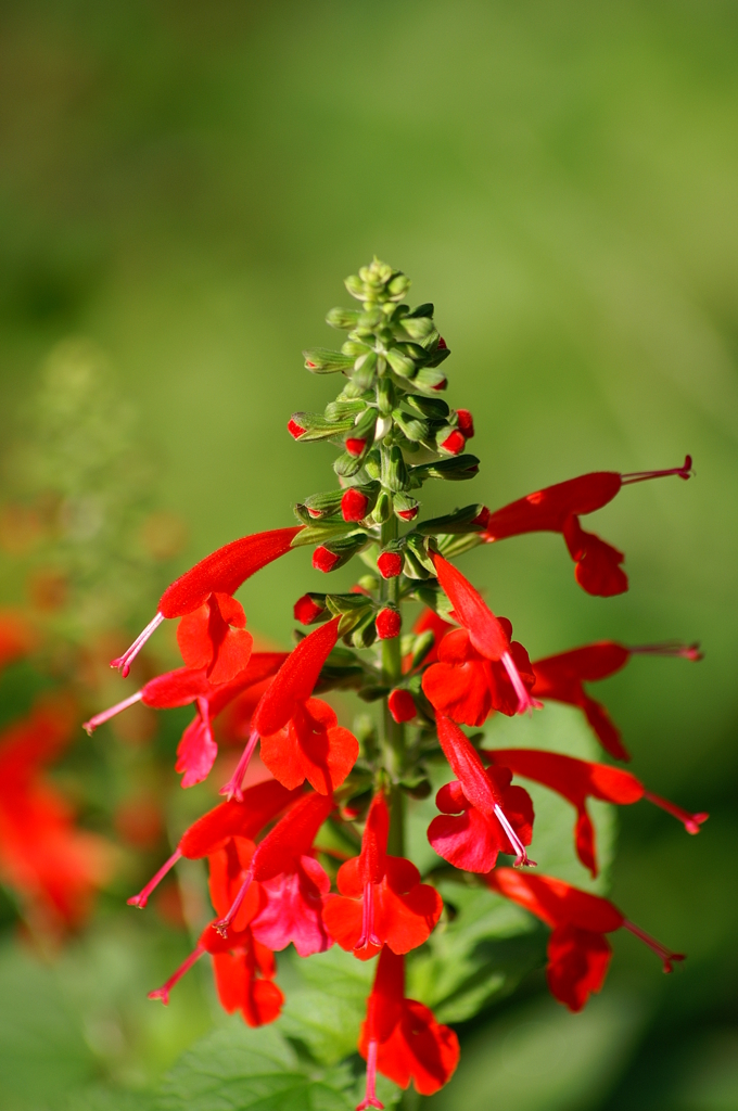 名古屋市農業センターにて