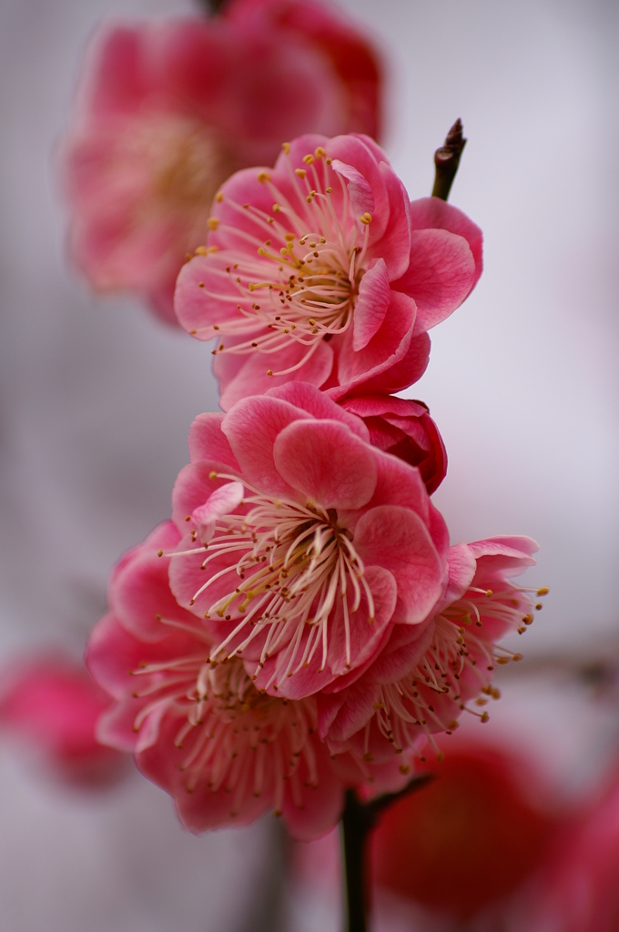 大高緑地公園にて　