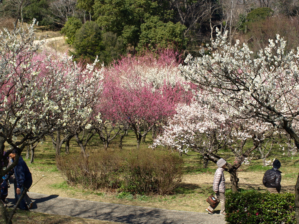 大高緑地公園にて　