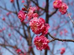 大高緑地公園にて