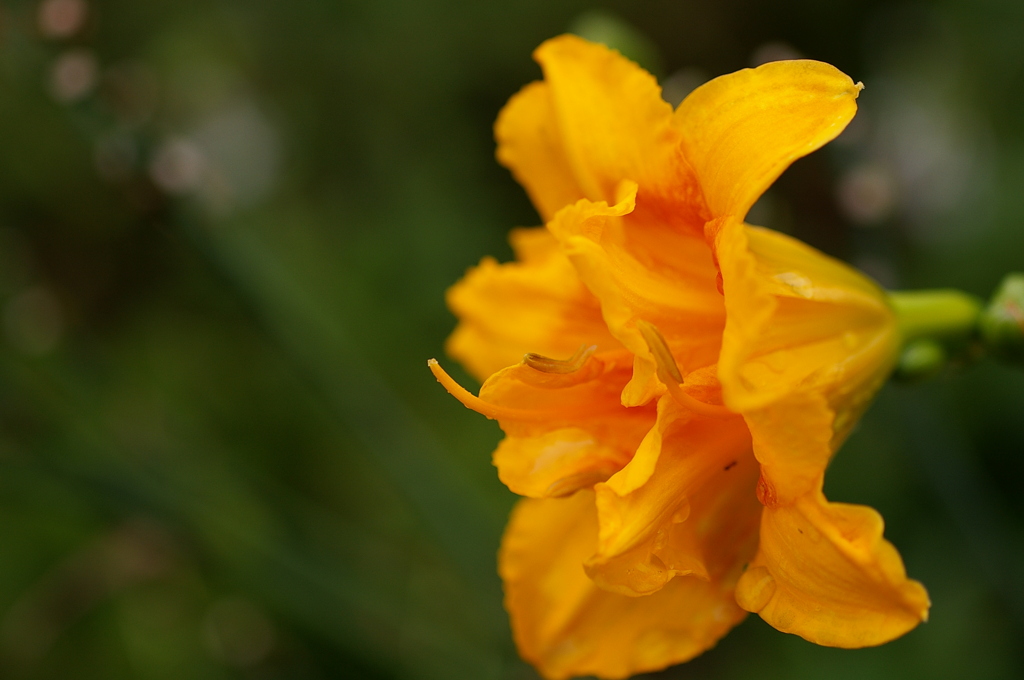 名古屋市農業センターにて