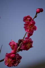 大高緑地公園にて