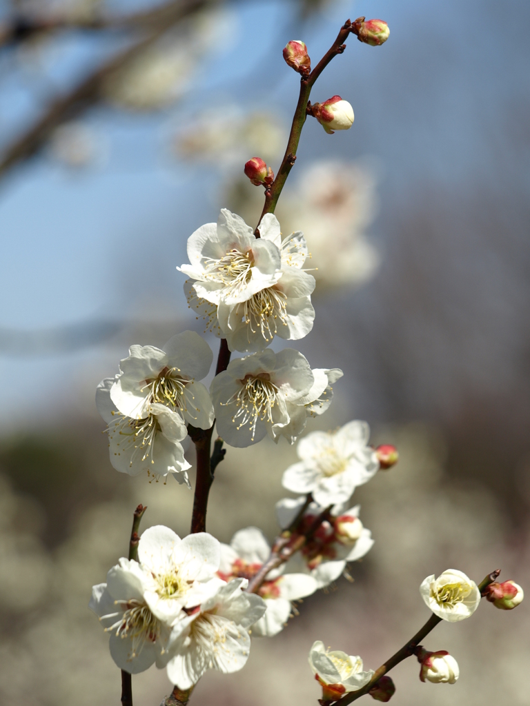 大高緑地公園にて　
