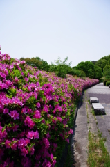 大高緑地公園にて　