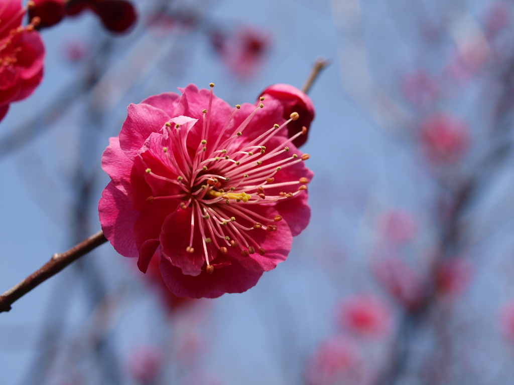 大高緑地公園にて