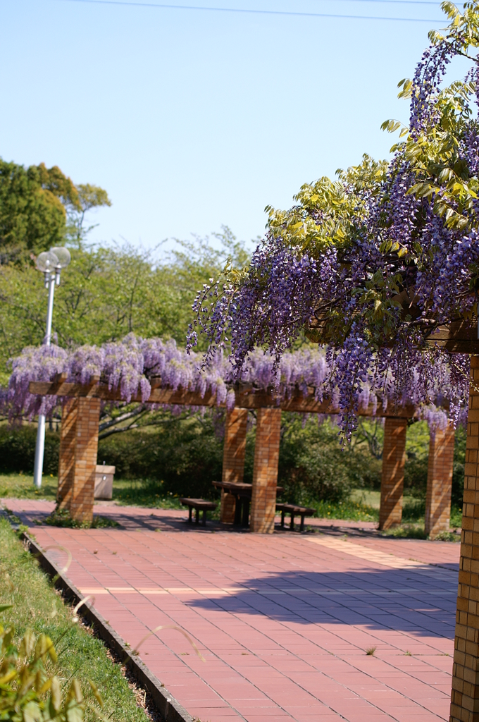 大高緑地公園にて　