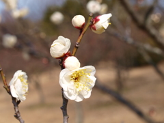 大高緑地公園にて