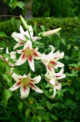 名古屋市農業センターにて　