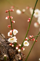 大高緑地公園にて　