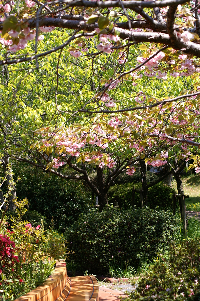 大高緑地公園にて　