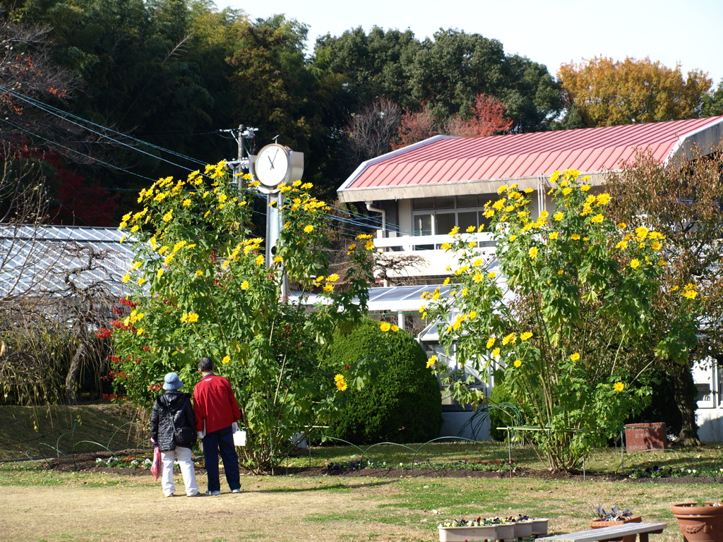 名古屋市農業センターにて　
