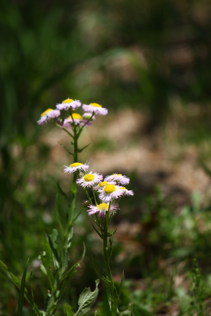 名古屋市農業センターにて　