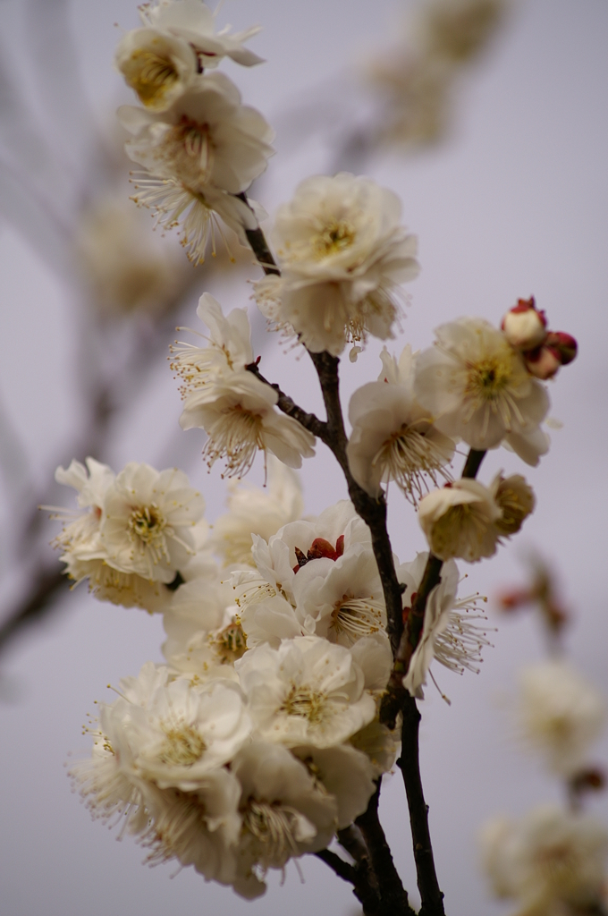 大高緑地公園にて　