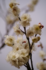 大高緑地公園にて　