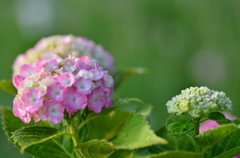 あなた好みに変わりたい^^