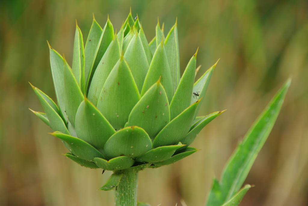名古屋市農業センターにて　