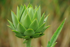 名古屋市農業センターにて　