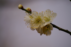 大高緑地公園にて　
