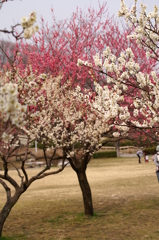 大高緑地公園にて　