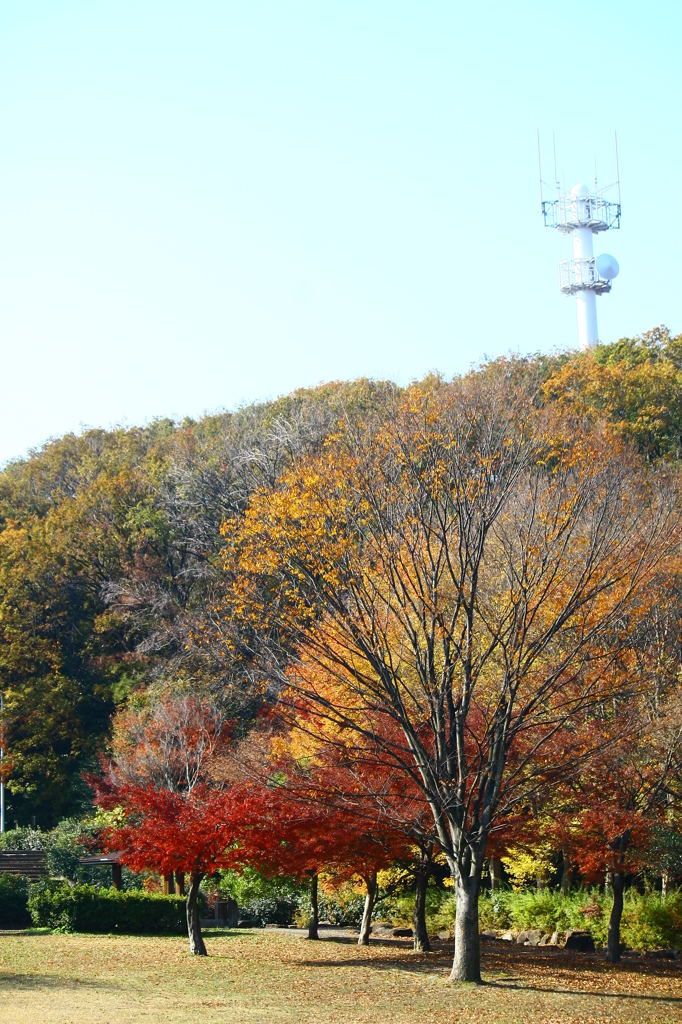 大高緑地公園にて