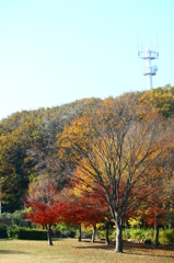 大高緑地公園にて
