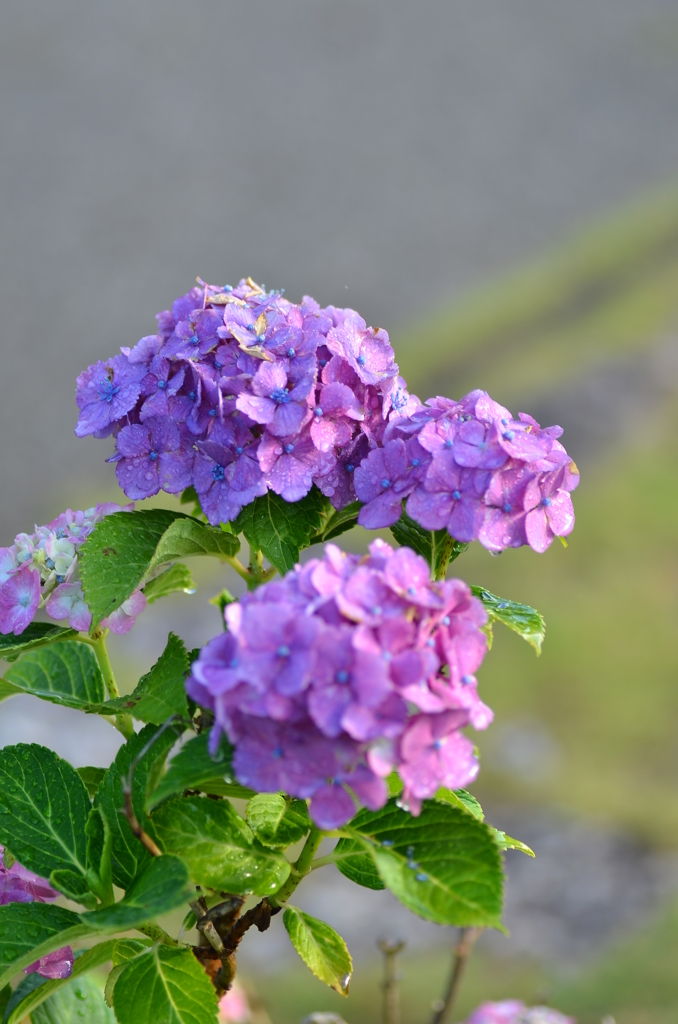 朝陽が嬉しくて＾＾