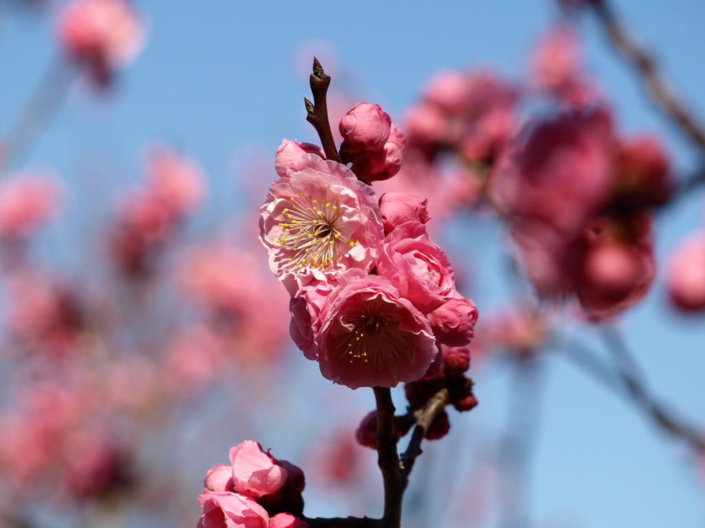 大高緑地公園にて　