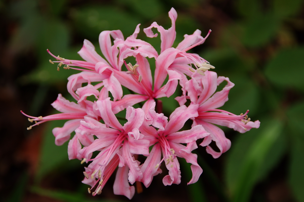 大高緑地公園にて
