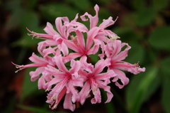 大高緑地公園にて