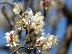 大高緑地公園にて　