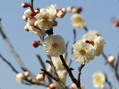 大高緑地公園にて