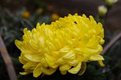 大高緑地公園にて