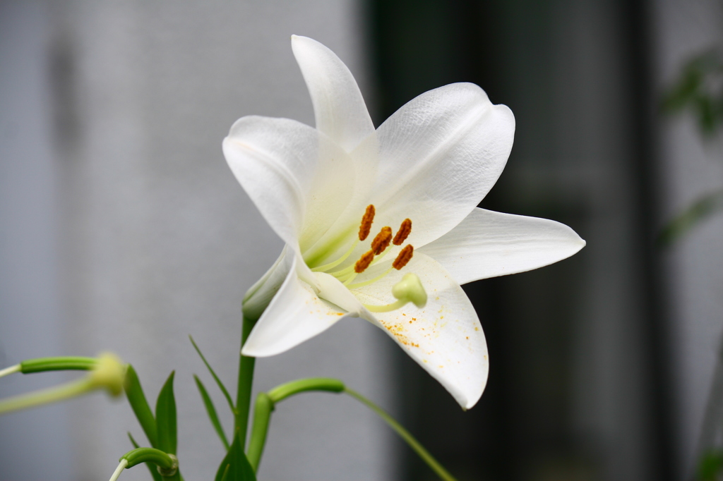 名古屋市農業センターにて　