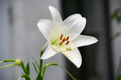 名古屋市農業センターにて　