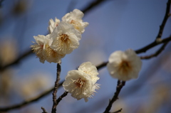 大高緑地公園にて
