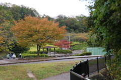 大高緑地公園にて