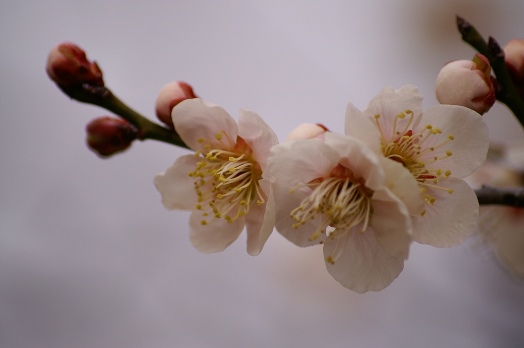 大高緑地公園にて　