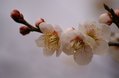 大高緑地公園にて　