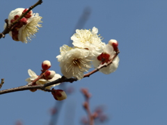 大高緑地公園にて