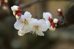 大高緑地公園にて